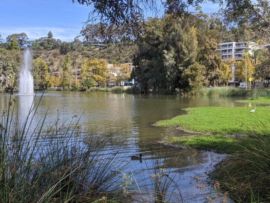 City & Lakeside With Free Parking, Pool And 10 Mins Walk Into The City Perth Luaran gambar